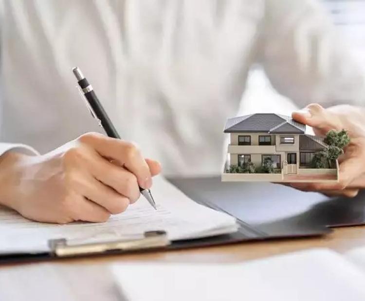 Real estate developers