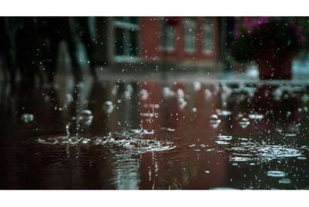 D Thara highlights importance of rain harvesting in future housing challenges: A call to action from the Ministry of Housing and Urban Affairs